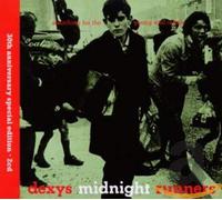 Searching For The Young Soul Rebels
