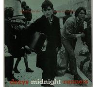 SEARCHING FOR THE YOUNG SOUL REBELS LP