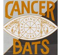 Searching for Zero [Import Allemand]