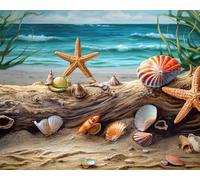Seascape Paint by Numbers Kit de peinture numérique pour adultes, étoiles de mer et coquillages sur le sable, avec pinceaux et pigments, peinture animale par numéro, bricolage, artisanat, 40 x 50 cm