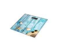 Seashells - Balance
