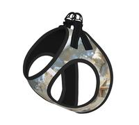 Seashells Ensemble harnais et laisse pour chat et chien, réfléchissant, réglable, anti-fuite, avec maille douce et respirante, pour petits animaux de compagnie et chatons chiots