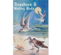 Seashore and Wading Birds of Florida by Patricia E. Pope Patricia E. Pope (Auteur)