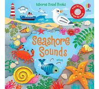 Sam Taplin – Seashore Sounds – Livre sonore – Usborne