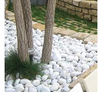 Seat Flor Decomadeinitaly Bol Blanc carrare en Sac 25 kg. Diamètre 7/15 mm Pierre Blanche pour Jardin