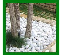 Seat Flor srl® Lot de 25 kg de diamètre 40 à 60 cm, pierre blanche pour jardin