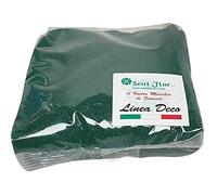 Seat Flor SRL® Sable coloré pour décoration de vases 0,5 mm Sac de 1 kg env. (25 couleurs disponibles) (Vert foncé)