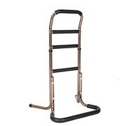 Seat Lift Assist Dispositifs de Levage de Chaise Rails de lit pour Personnes âgées Barre de Maintien pour lit Handicap Mobilité Stand Assist pour Ascenseur (Color : B)