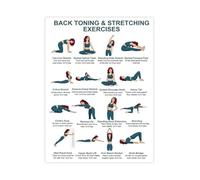 Seated and Standing Back Workout Chart Gentle No Equipment Exercises for Upper and Lower Back Canvas Poster Fitness Wall Art for Living Room(Framed,12x18inch(30x45cm))