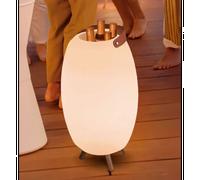 Seau à bouteille lumineux apolo