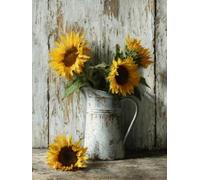 Seau à Fleurs 5D DIY Diamond Painting Kit Complet pour Adultes et Enfants, 20x30cm, Broderie Diamant Plein Rond, Strass Point de Croix pour, Art Artisanat Décoration Murale Maison Cadeau E-331