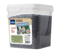 Seau de graines de Tournesol Noir 2 kgs pour Oiseau de la Nature