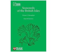 Seaweeds Of The British Isles