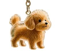 SEAYACK Hoies De Chiens Miniatures Keepsakes Keychain Clear Memorial Box Secure Perte Perte Remembrances Jewelry Dog Furs Collecteur Préservations De Poils À Brete