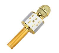 SEAYACK Microphone professionnel sans fil avec lumières - Accessoires KTV