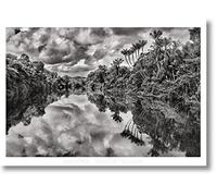 Sebastiao Salgado. Amazonia. Poster 'Jau River'