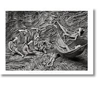 Sebastiao Salgado. Amazonia. Poster 'Zo'e Women'