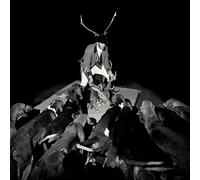 Sébastien Nouveau - A Night Full of Collapses