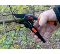 Sécateur avec transmission à rouleaux