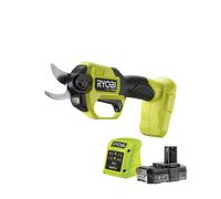 Sécateur Brushless 18V ONE+ HP™ (1 x 2,0 Ah)