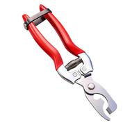 Sécateur de jardin en acier inoxydable pour roses, bonsaïs, fleurs, arbres, branches