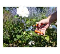 Sécateur de jardin pour dames, longueur: 178mm