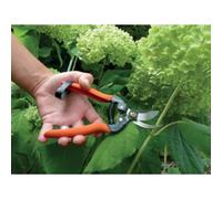 Sécateur de jardin 'Spécial rosier'