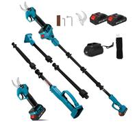 Sécateur électrique 2 en 1 avec batterie 2 x 2,0 Ah, avec tige d'extension de 2 m, diamètre de coupe max. 30 mm, écran LCD, élagueur, télescopique extensible jusqu'à 4,5 m