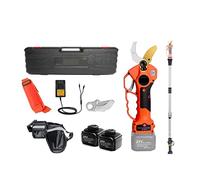 Sécateur électrique sans Fil 25V 40mm avec rallonge Coupe-Branches de scie à chaîne de 5 Pouces,Fonctionnement contrôlé(Shears Pole)