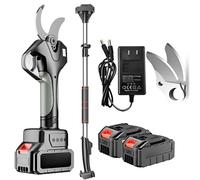 Sécateur Électrique Sans Fil 50 Mm - Élagueur À Longue Portée avec Perche de 2,1 M Et 2 Batteries, Coupeur Robuste pour Verger, Haie Et Coupe D'arbres