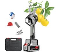 sécateur électrique, Taille-haie électrique avec gants et boîte à outils, ciseaux électriques sans balais for jardinage, haies, branches, fleurs, 21 V, 2 Ah, 2 batteries