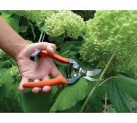 Garten PRIMUS Sécateur de jardin 'Sécateur spécial rosier' G