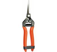 Sécateur Stocker Acier forgé 19 cm Collecteur de fruits et légumes Raisins