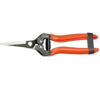Sécateur Stocker Récolte des fruits et légumes Raisins 19 cm Acier forgé