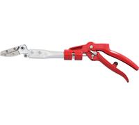 Sécateurs ARS pour rosiers 160R-0.35 | pour couper les rosiers et les plantes épineuses | longueur 35cm | lames super tranchantes plus griffe