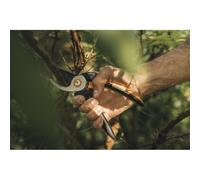 Sécateurs Bypass L (P341) Solid