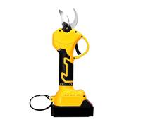 Sécateurs électriques, Cisaille électrique sans fil 21V, haute efficacité, coupe de Branches d'arbres fruitiers, bonsaï, outil d'aménagement paysager, 2 Batteries