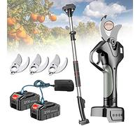 Sécateurs sans fil Sécateur électrique professionnel,45mm Ciseaux élagage Rechargeable avec rallonge Cisailles de jardin,2x Batterie 4.5Ah et 1/2/3x lame de rechange ( Color : With Extension Pole , Si