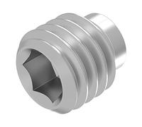 SECCARO Lot de 20 vis sans tête avec six pans creux et tenon M5 x 5 mm, acier inoxydable V2A VA A2, DIN 915 / ISO 4028