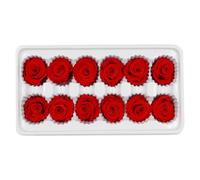 SECFOU 12 Pièces Bouquet de Fleurs Mariage Rose Préservée Rouge, Fleur Éternelle Décorative et Longue Durée pour Décoration de Mariage et Maison