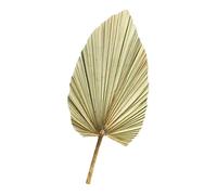SECFOU 1pièce Dried Palm Leaf Natural Décoration Art Wall Hanging Grande de Palmier Sèche pour Arche de Mariage Décoration de Fenêtre et Espaces Intérieurs