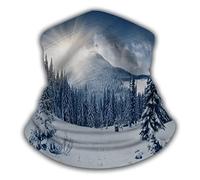 Séchage Rapide Décoration faciale, Gaiter Magnifique Arbre de Givre Blanc enneigé de Montagne de Glace Ultra-Douce Chapeaux Demi-Visage pour Course à Pied Vélo Ski
