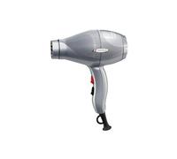 Gamma+ E-T.C. Light Varnished Silver