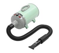 Sèche-cheveux pour chien avec 4 buses - 2200 W - Souffleur professionnel pour chiens et chats (vert)
