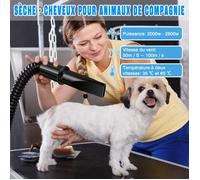 Sèche-cheveux professionnel pour chien, 2800 W, pour le toilettage des chiens, buses, vitesse du vent réglable et 2 températures