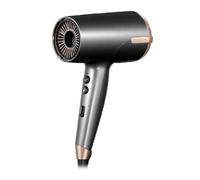 Remington DRY & STYLE ONE D6077 Gris/Rose