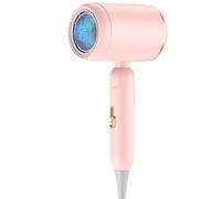 Séchoir à Cheveux Salon | Séchoir Rapide,Accessoires De Coiffure Portatifs Et Pliables Pour Femmes Et Hommes Maison Vacances Hôtel Appartement Salon Voyage