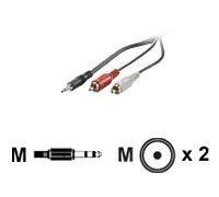 Secomp VALUE - Câble audio - mini-phone stereo 3.5 mm mâle pour RCA mâle - 5 m - noir