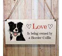 Second Ave Border Collie Dog Plaque rectangulaire en bois à suspendre