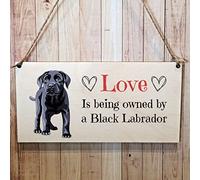 Second Ave Plaque rectangulaire en bois à suspendre Motif labrador noir, Décoration Murale